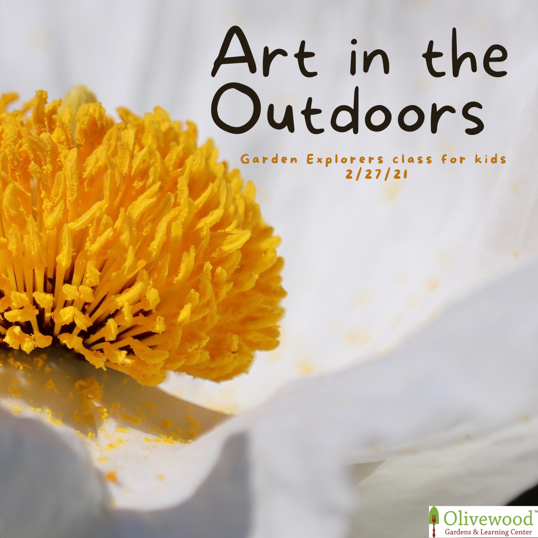 Virtual Garden Explorers- Art in the Outdoors