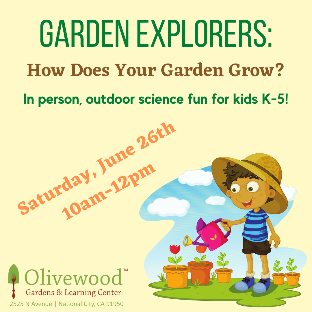 In person Garden Explorers- How Does Your Garden Grow?