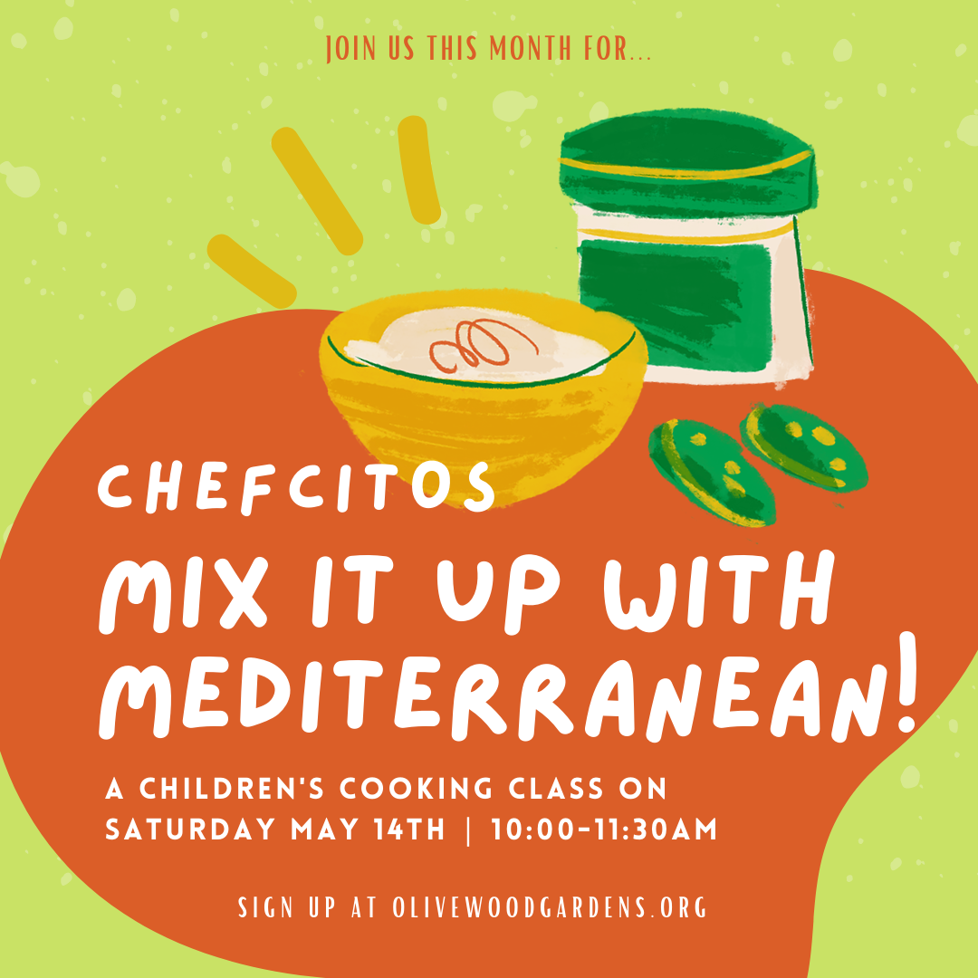 Chefcitos: Mix it Up with Mediterranean!
