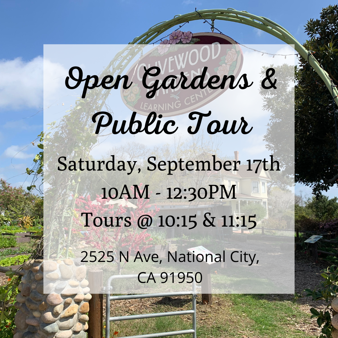 Open Garden & Public Tour