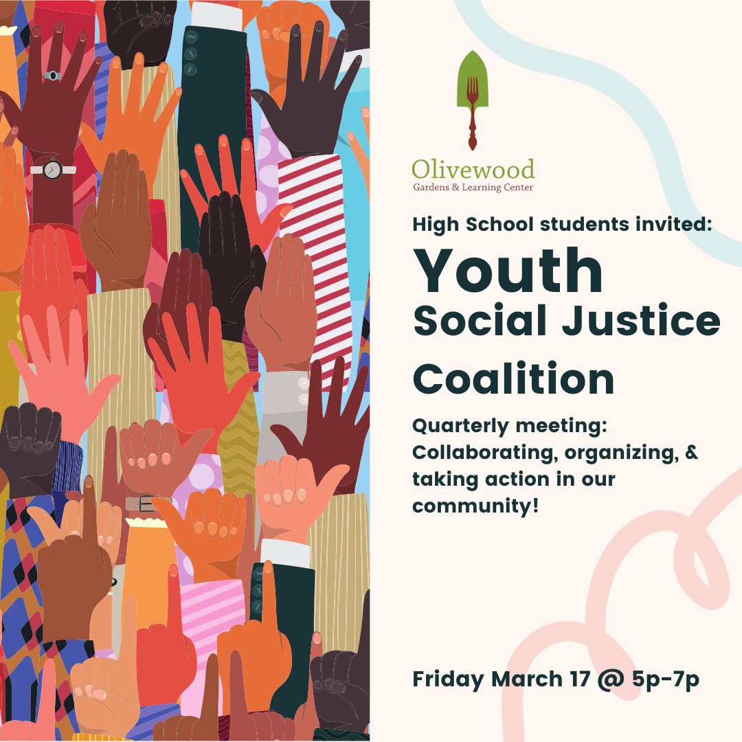 Youth Social Justice Coalition