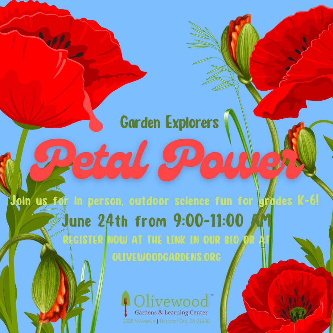 Garden Explorers: Petal Power