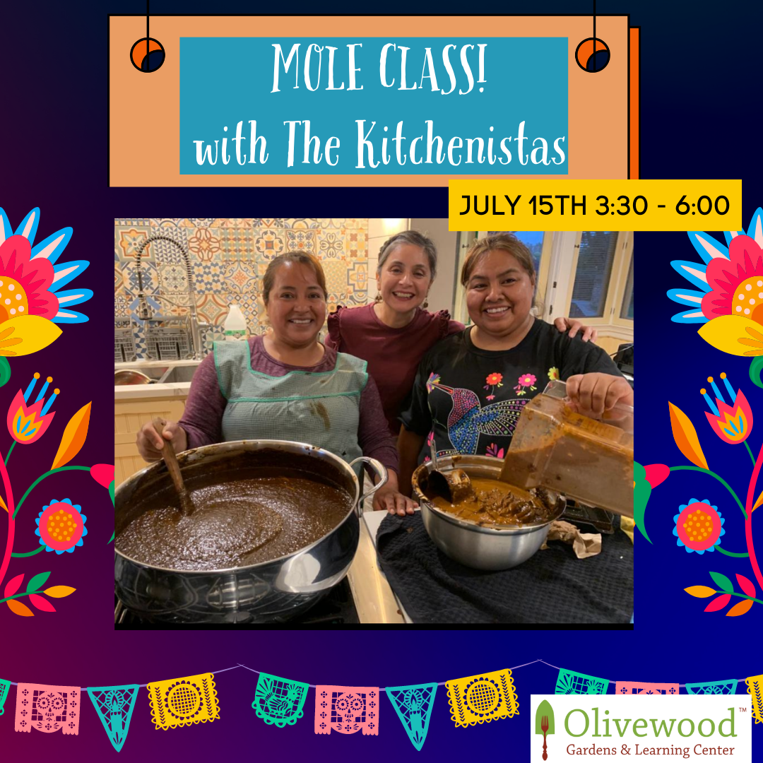 Adult Cooking Class: Mole Making with The Kitchenistas!