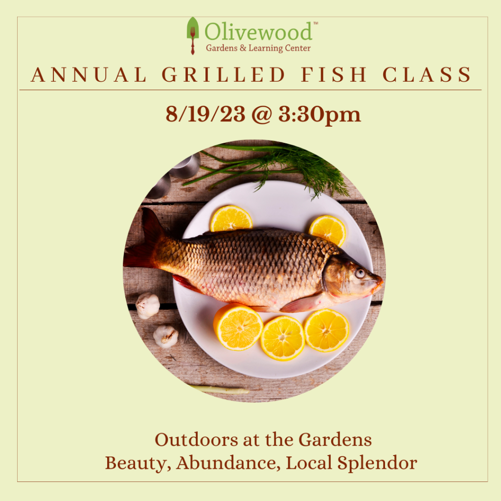 August Adult Cooking Class - Grilled Fish - Olivewood Gardens