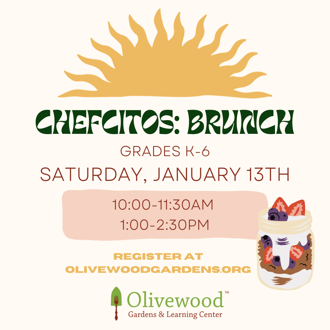Chefcitos January 10am SOLD OUT