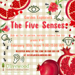 Garden Explorers February: The 5 Senses
