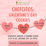 Chefcitos February 10 at 1pm SOLD OUT