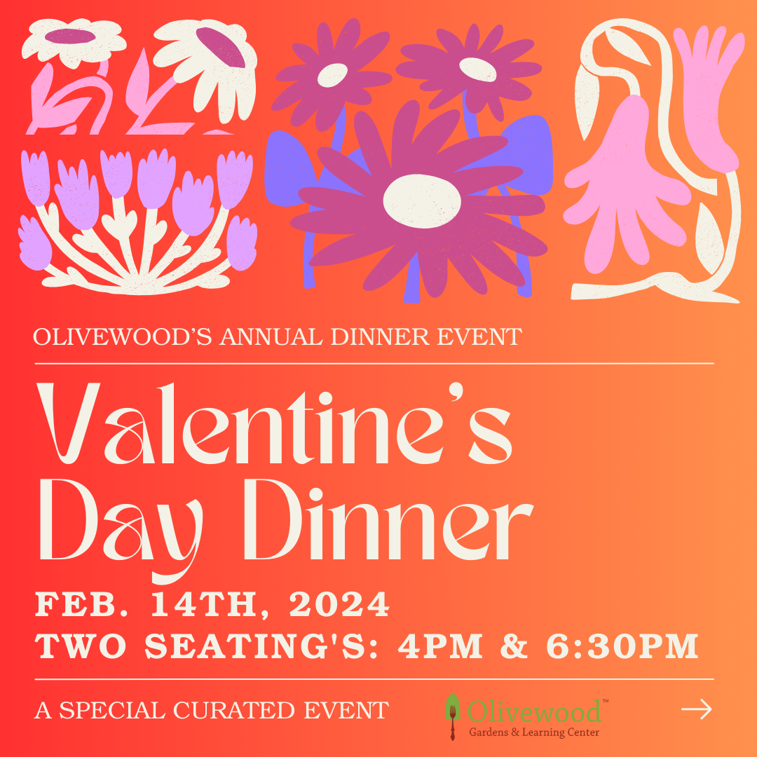 Valentine's Day Dinner Event