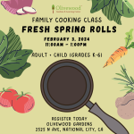 Family Cooking Class: Spring Rolls!