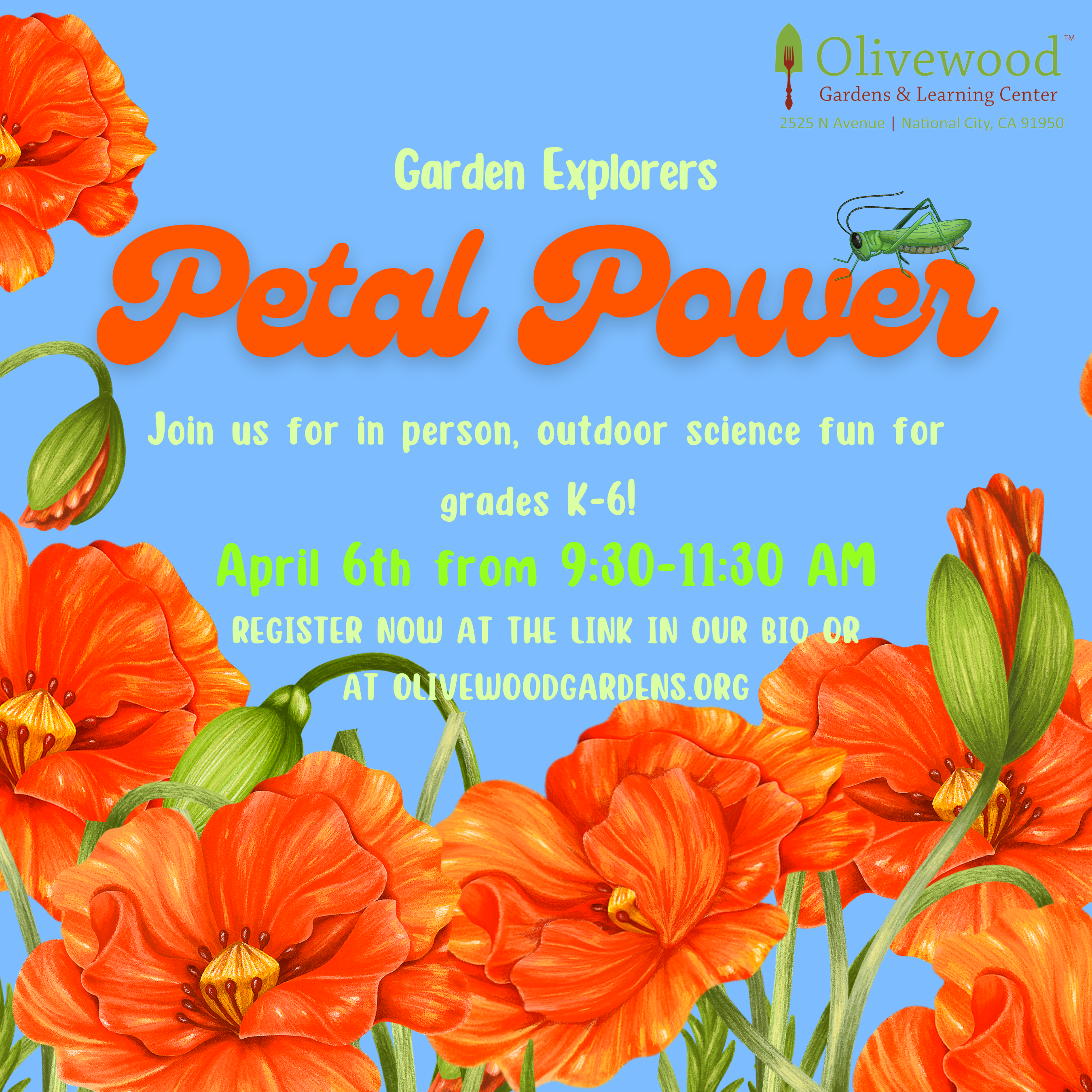 Garden Explorers April: Petal Power!