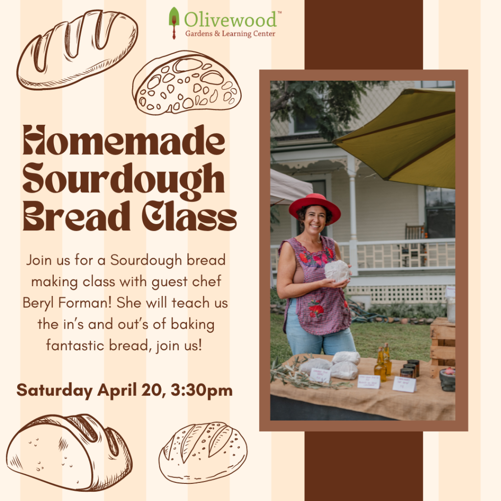 volunteer-application-olivewood-gardens