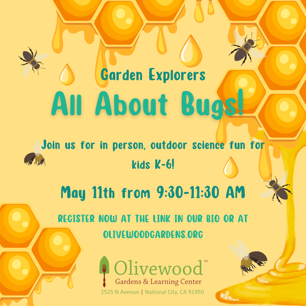 About Us Olivewood Gardens