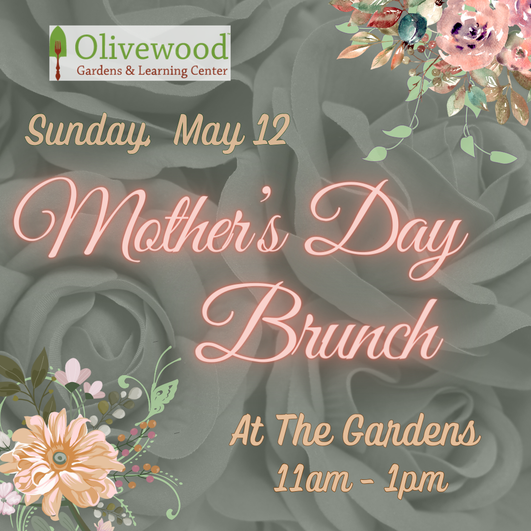 Mother's Day Brunch Sunday, May 12th