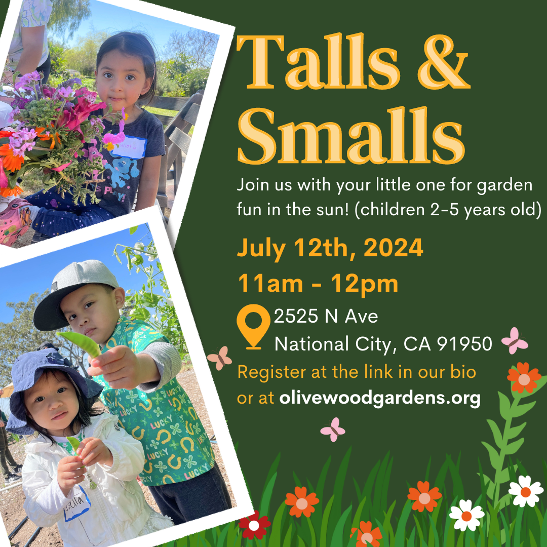 Talls & Smalls: Summer in the Garden!