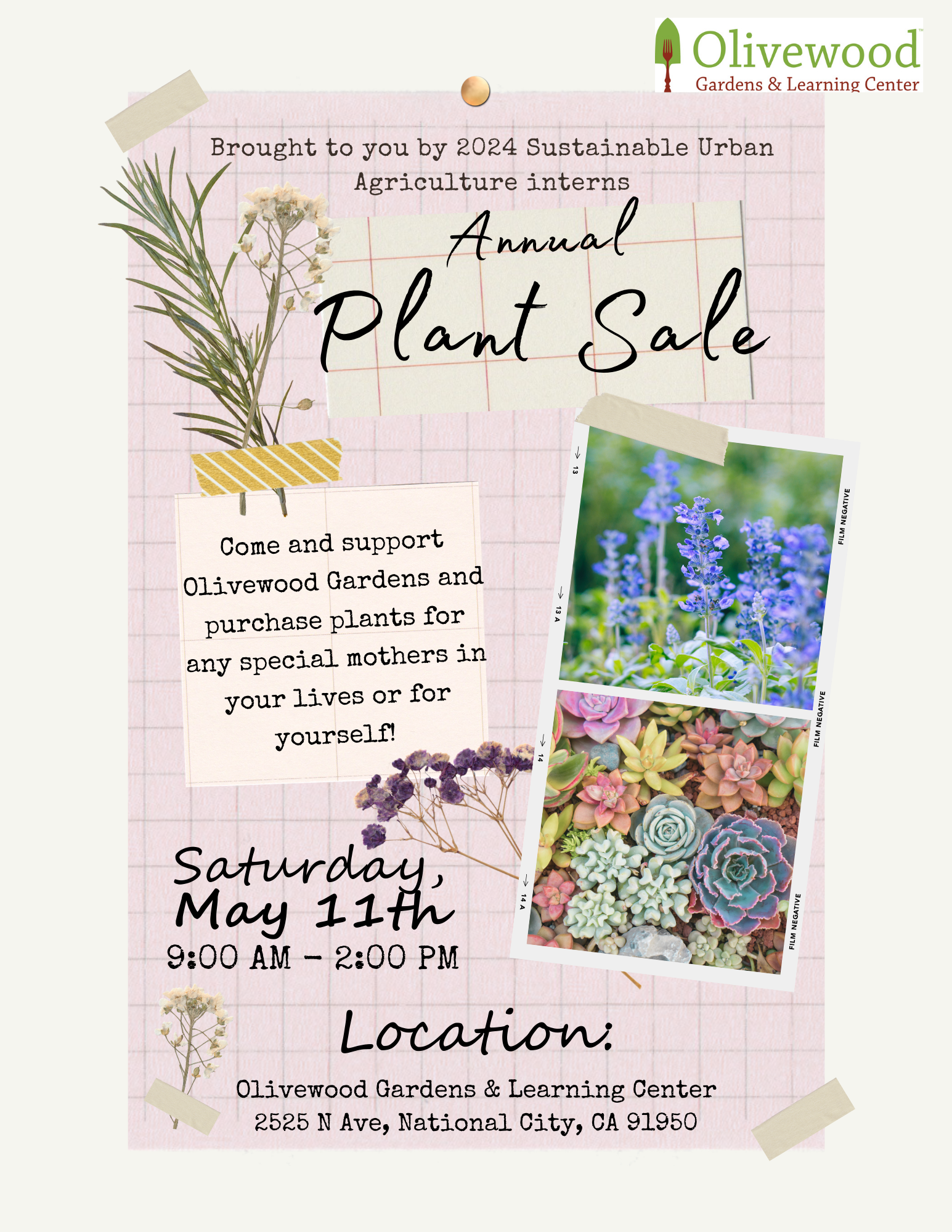Olivewood Gardens Plant Sale